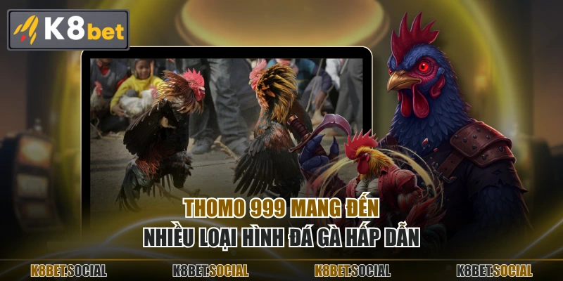 Thomo 999 mang đến nhiều loại hình đá gà hấp dẫn
